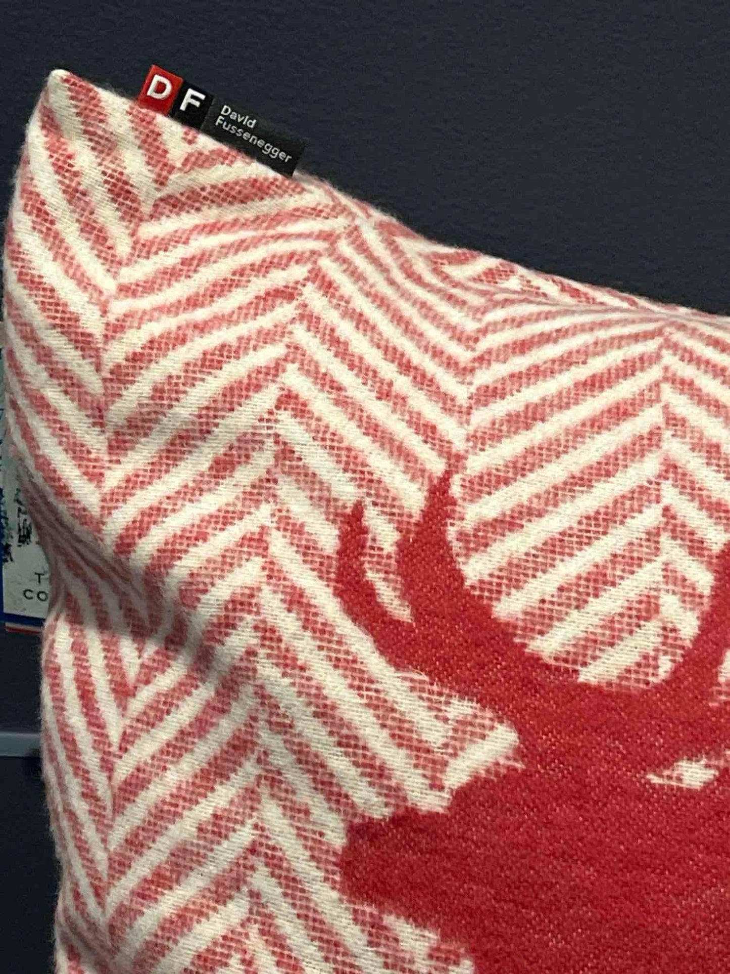 David Fussenger Luxury Austrian Decorative Accent Throw Pillow, Holiday Red And White Chevron Deer
